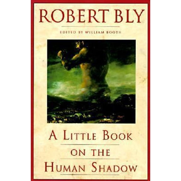 Pre-Owned A Little Book on the Human Shadow (Paperback) 0062548476 9780062548474