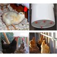 thumbnail image 4 of 10Pcs Chicken Feeder Water Nipple Drinker Duck Hen Poultry Screw in Style Automatic Drinker, 4 of 7