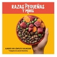 thumbnail image 2 of Pedigree Adulto Raza Pequeña 20 Kg, 2 of 4