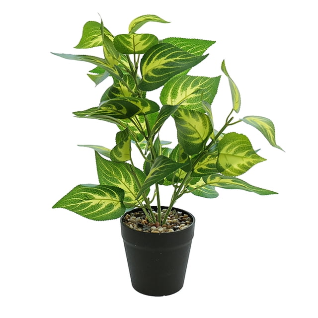 Bearachild Hojas artificiales de bajo mantenimiento de plantas falsas en maceta de tortuga ABS para la sala de estar de la oficina en el hogar Type3 NO3