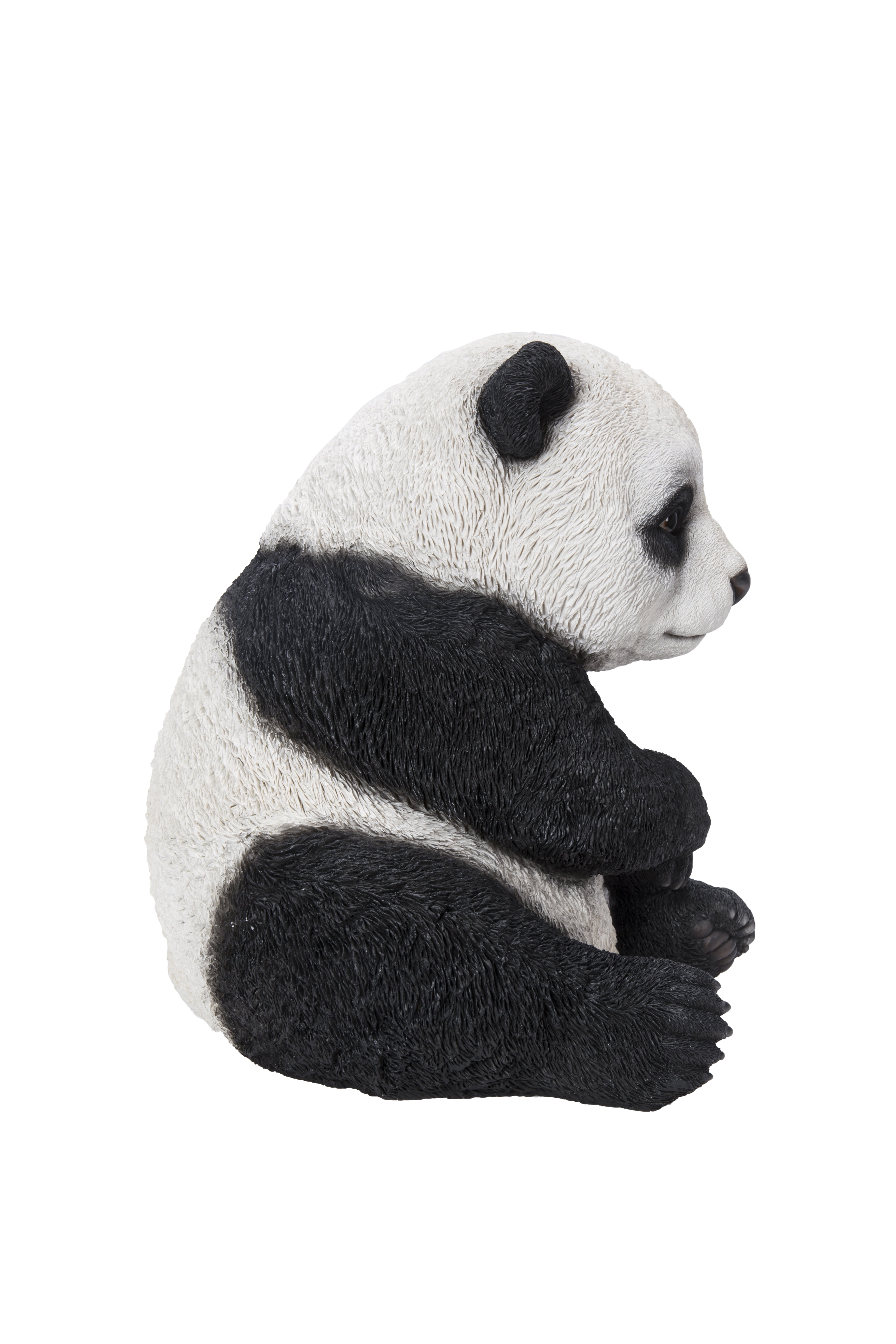SMALL PANDA CUB SITTING