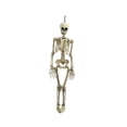 thumbnail image 3 of Decoración de esqueleto de Halloween Macarena Colgante Mini esqueleto con articulaciones, 3 of 8