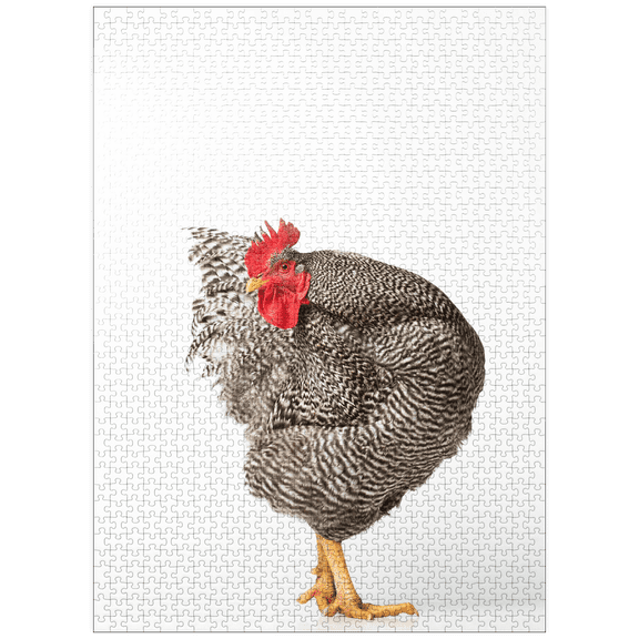 MyPuzzle - Barred Rock Chicken - Premium 1000 Piece Jigsaw Puzzle for Adults