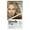 Bronde, variant on Clairol Blonde it Up No Bleach Permanent Hair Dye Lightening Kit Hair Color, Platinum Blonde, 1 Application