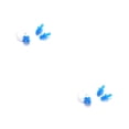 thumbnail image 2 of bedienty Silicone Waterproof Nose Clip Swimming Earplug Portable Ear Protector Blue 2Set, 2 of 6