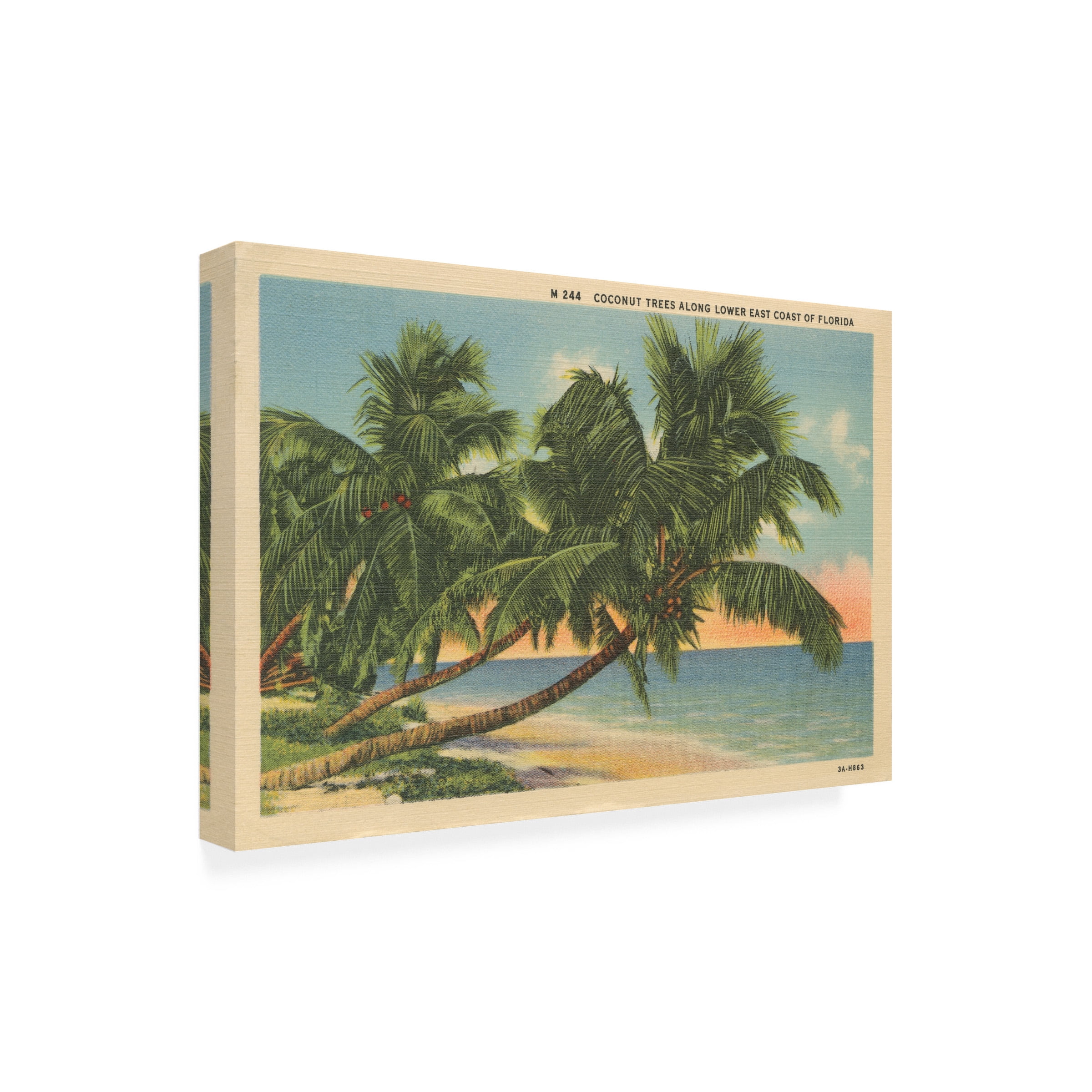 Wild Apple Portfolio 'Florida Postcard III' Canvas Art