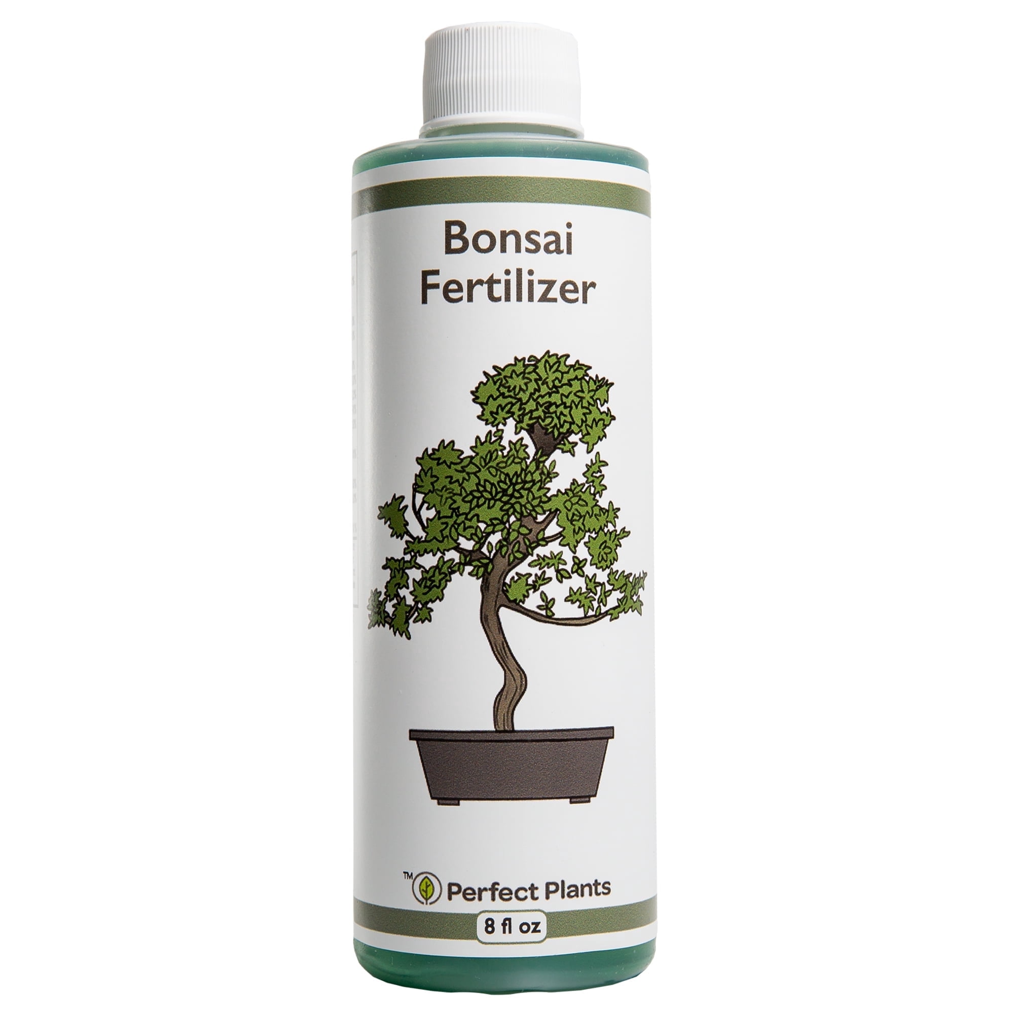 Liquid Money Tree Fertilizer 8oz. of Premium Concentrated Indoor and  Outdoor Pachira Aquatica Fertilizer, Use with Containerized Houseplant Money  Trees - Walmart.com