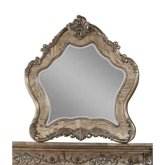 ACME Ragenardus Wooden Traditional Bedroom Mirror in Vintage Oak