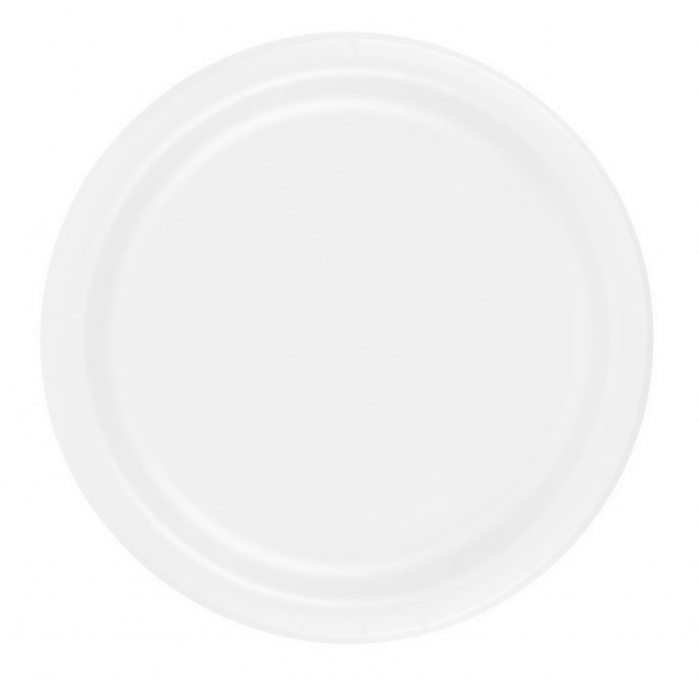 24 Plates 10.25" Paper Dinner Lunch Plates Wax Coated White
