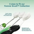thumbnail image 3 of RADIUS Toothbrush Replacement Heads Super Soft Flossing Bristles 2-Count Improve Gum Health & Reduce Gum Issues - Pack of 6, 3 of 6
