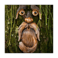 thumbnail image 2 of Unique Bird Fed Tree Face, 2 of 5