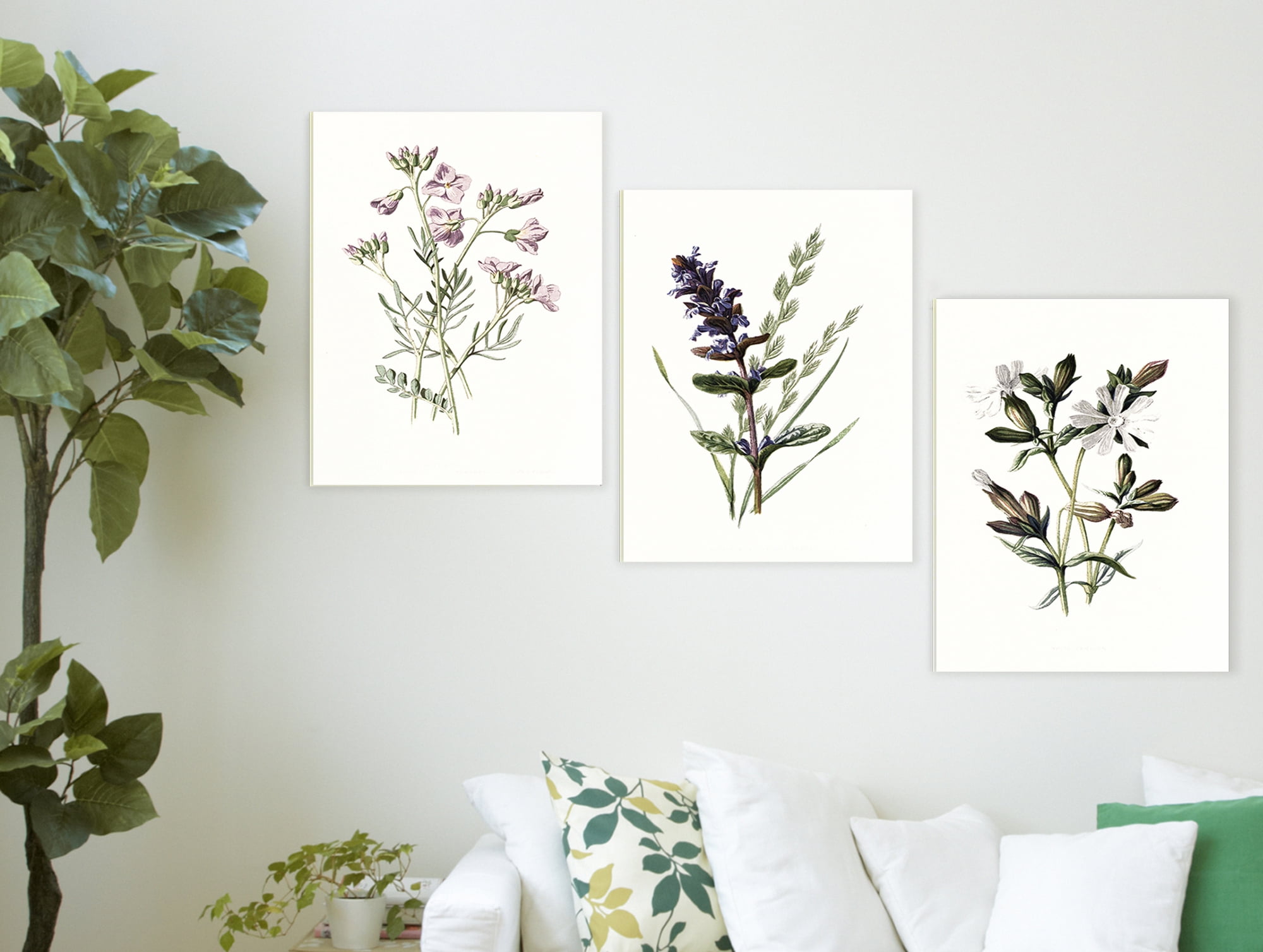 The Stupell Home Decor Collection Purple and White Floral Botanical Illustrations 3pc Wall Plaque Art Set, 10 x 0.5 x 15