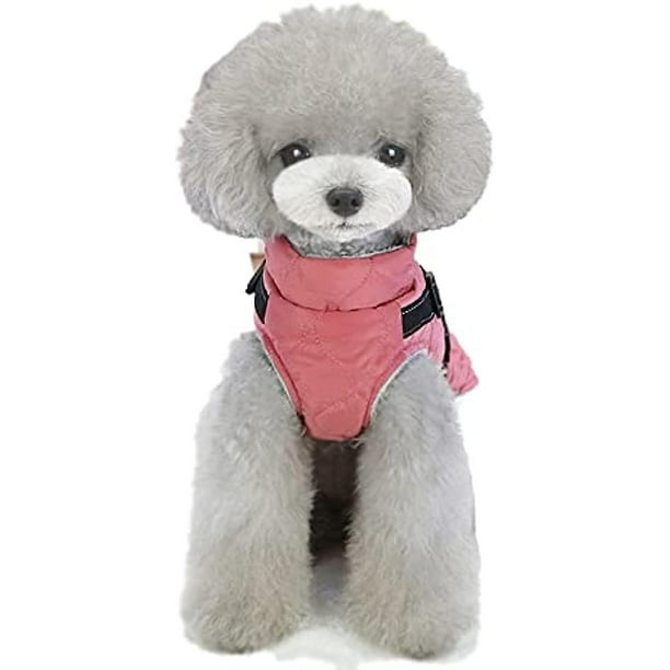 Cotton 2025 dog jumper