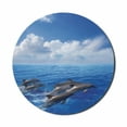 thumbnail image 1 of Sea Animals Mouse Pad for Computers, Dolphins Jumping in Clear Sea and Fluffy Clouds in Sky Marine Life Photograph, Round Non-Slip Thick Rubber Modern Mousepad, 8" Round, Blue White, by Ambesonne, 1 of 2