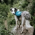 thumbnail image 3 of Outward Hound DayPak Dog Saddleback Backpack, Blue, Large, 3 of 8