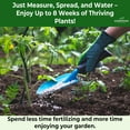 thumbnail image 4 of 13-13-13 Slow Release Granular Fertilizer – All Purpose Plant Food 13 13 13 for Outdoor Grass, Vegetables, Roses, Flowers, Shrubs, Trees. Lawns, Gardens, Potted Plants (4 quarts), 4 of 14