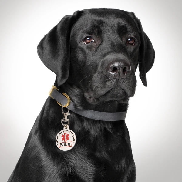 esa collar tag