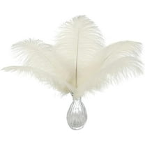 Beige Ostrich Feathers Bulk - 24pcs 12-14inch Cream Feathers for Vase,Wedding Party Centerpieces and Home Decor