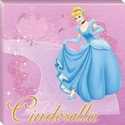 Cinderella Canvas Picture