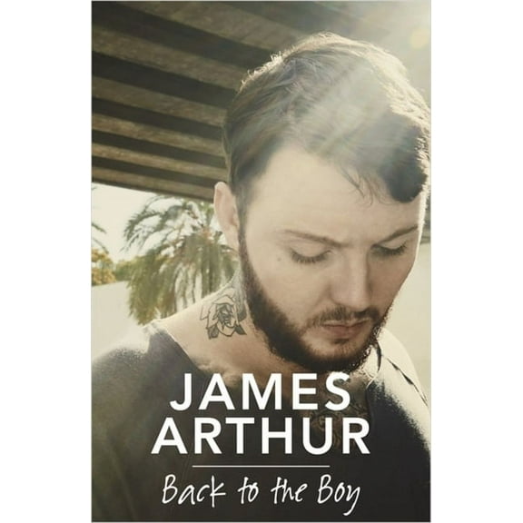 Back to the Boy (Paperback)