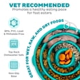 thumbnail image 5 of (2 pack) Outward Hound Fun Feeder Slo Bowl – Large 4‑Cup Capacity, Slow Feeding, Medium to Large Dogs, Non‑Slip, Turquoise, Drop Pattern, 5 of 9