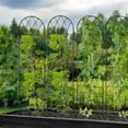 thumbnail image 6 of Slsy 4 Pack Metal Garden Trellis for Cllimbing Plants Outdoor, Flowers Tomato Cucumber Rose Vines Vegetable, Metal Coated Rustproof Garden Trellis for Patio, 60" x 16", 6 of 9