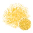 thumbnail image 1 of Uxcell 200-Pack Rocas Brillantes que Brillan en la Oscuridad, 0.79" Decoraciones de Jardín de Resina, Piedras Luminiscentes [Amarillo], 1 of 6