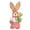 A, variant on DIY Woven Straw Bunny Craft Kit - Handmade Easter Decoration Activity for Adults, Couples & Teens, Home Seasonal Art Project with Materials
