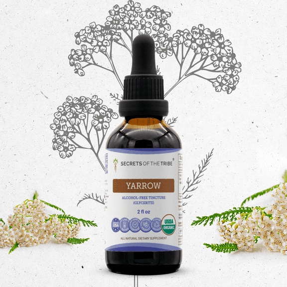 Secrets Of The Tribe Yarrow Organic Dietary Supplement, Natural Herbal Tincture for Immune Support, Certified Organic Yarrow (Achillea millefolium) Dried Leaf and Flower, Alcohol-Free Extract, 2 oz