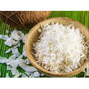 Bulk Unsweetened Shredded Coconut 25 Pound Bulk Wholesale Box