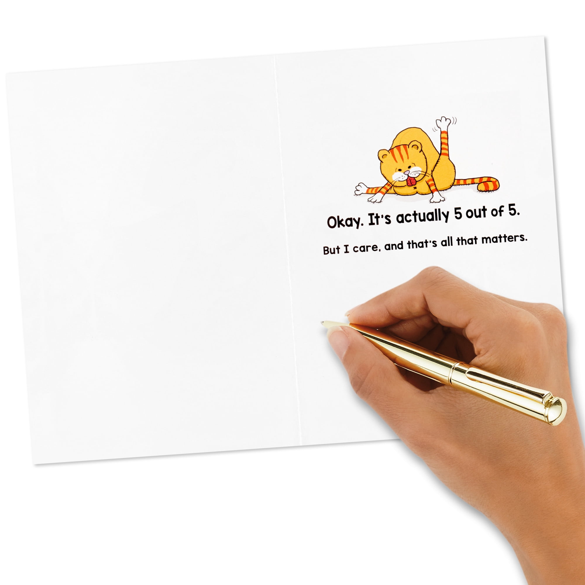 Hallmark Shoebox Funny Birthday Card (Cats Don't Care But I Do)