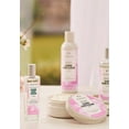 thumbnail image 2 of The Body Shop Glowing Cherry Blossom Body Cream 200ml, 2 of 2