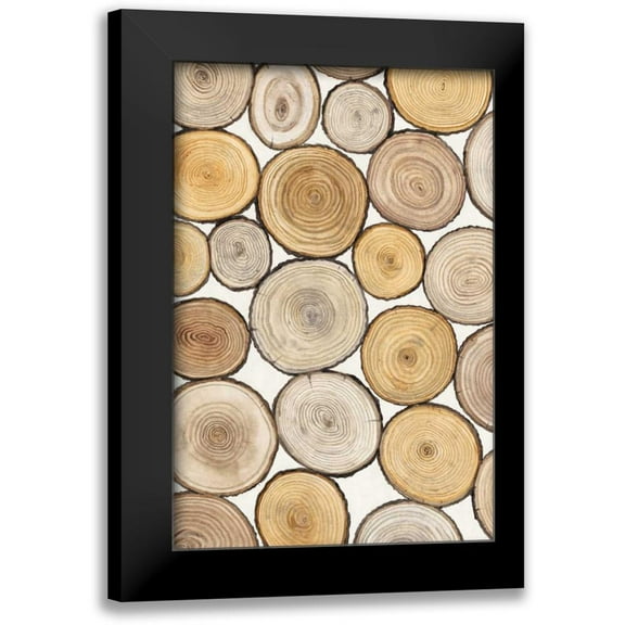 OToole, Tim 11x14 Black Modern Framed Museum Art Print Titled - Tree Ring Study I