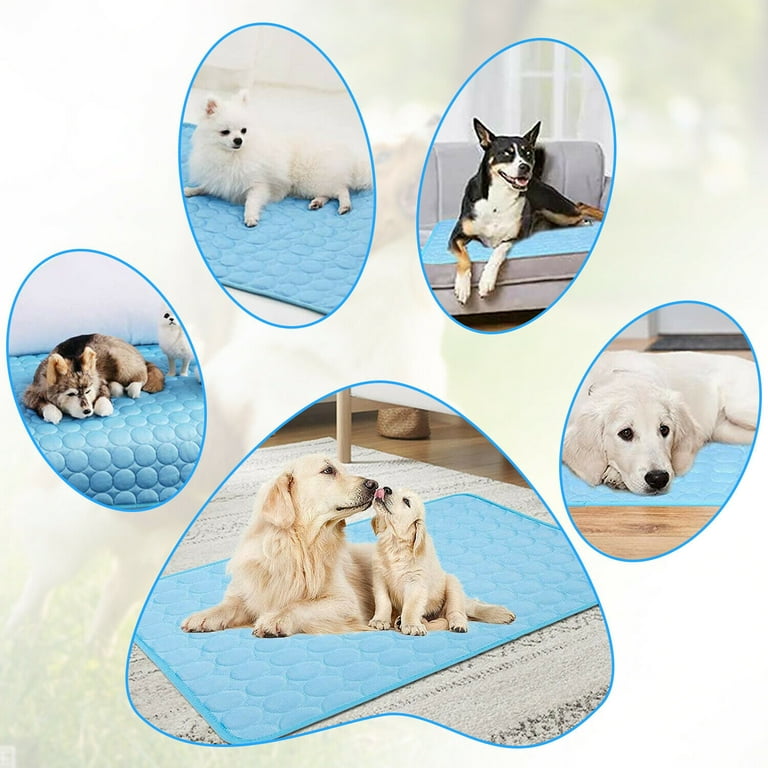Ice blanket cheap for dogs