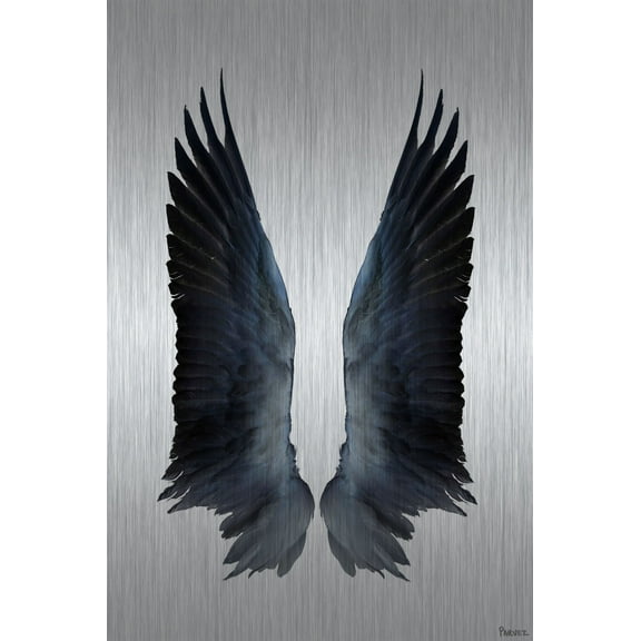 Parvez Taj Pt-Wnpw-01-Al-36 36" X 24" "Black Wings" Art Print On Aluminum