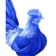 thumbnail image 2 of Wilson, Kelsey 26x32 White Modern Wood Framed Museum Art Print Titled - Blue Rooster I, 2 of 4