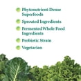thumbnail image 2 of Suplemento Garden of Life Perfect Food Super Green para 14 porciones, 2 of 8