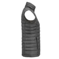thumbnail image 4 of James Harvest Gilet Rembourré pour Femmes, 4 of 4