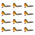 thumbnail image 1 of 12 piezas de accesorios de fotografía de pájaros artificiales, modelos de pájaros de simulación realistas para Verde Naranja, 1 of 9