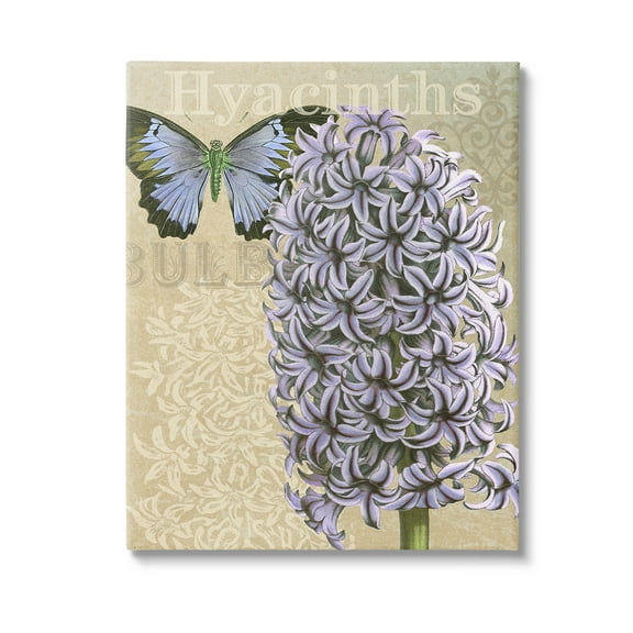 Stupell Industries Hyacinth Pattern & Butterfly Botanical & Floral Painting Gallery Wrapped Canvas Art Print Wall Art, 16 x 20