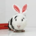 thumbnail image 3 of Flmtop Pet Guinea Pig Kittens Warm Plush Hat Adjustable Headband with Cute Rabbit Ears Red, 3 of 9