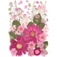 thumbnail image 1 of Flores prensadas secas ZMRU Pink Fairy para manualidades de 12 pulgadas, 1 of 7