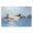 Lake Boat Serenity, variant on Stupell Industries Coastal Boat Floating on Lake Canvas Art, 20 x 16, by Liz Jardine