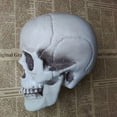 thumbnail image 4 of Halloween  Artificial Skull Head Model Skull Bone Scary Horror Skeleton Ornament, 4 of 5