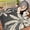 Black, variant on TacleeKii Waterproof Outdoor Rug 5' x 8', Reversible Plastic Straw Mat for Patio, RV, Camping & Deck, Black