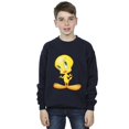 thumbnail image 2 of Looney Tunes Boys Tweety Standing Sweatshirt, 2 of 3