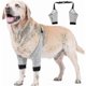 thumbnail image 1 of Coderas ajustables para patas delanteras de perro, protección para recuperación de lesiones quirúrgicas, 1 par, 1 of 5