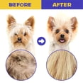thumbnail image 3 of 6-Pack Deluxe Flea Comb Set - Flea Combs for Efficient Pet Grooming - Suitable for Small, Medium, and Large Dogs and Cats, Eye Comb for Removing Ticks and Fleas, Blue, 3 of 5