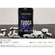 Leviathan Nutrition TUDCA Liver Cleanse & Gallbladder Detox Kidney & Gut Health Bile Salt 300mg