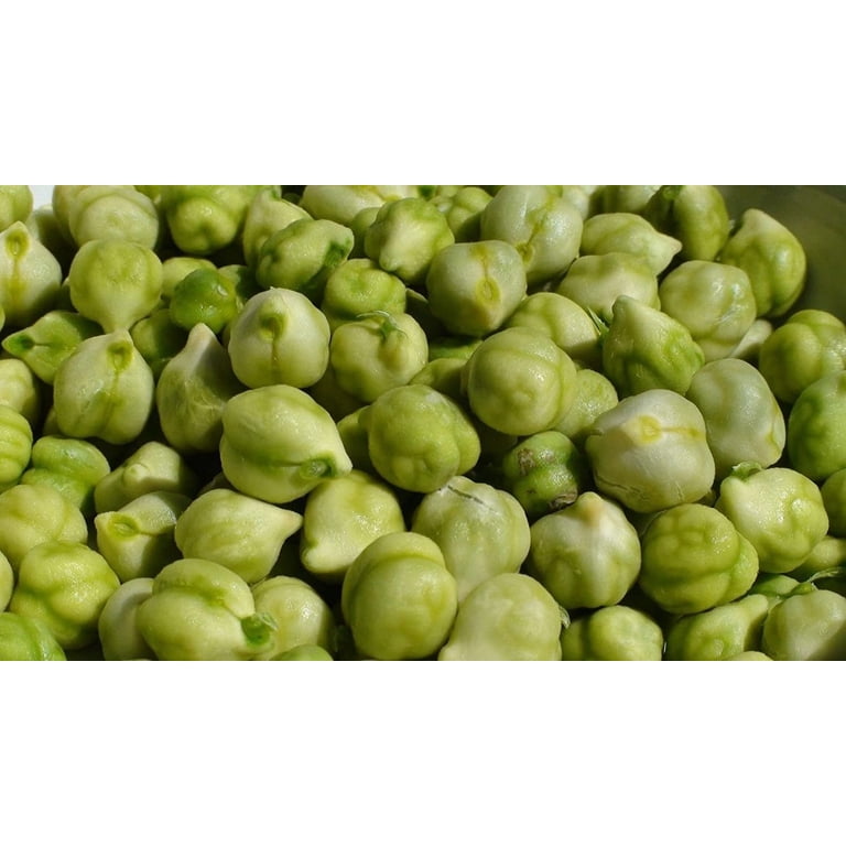 Garbanzo Bean Seeds for Planting - Grow Chickpeas, Make Hummus (20 Seeds)
